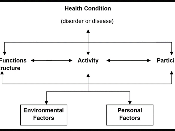 Using the ICF in everyday clinical&nbsp;practice